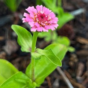 Meet your Posher, Ely